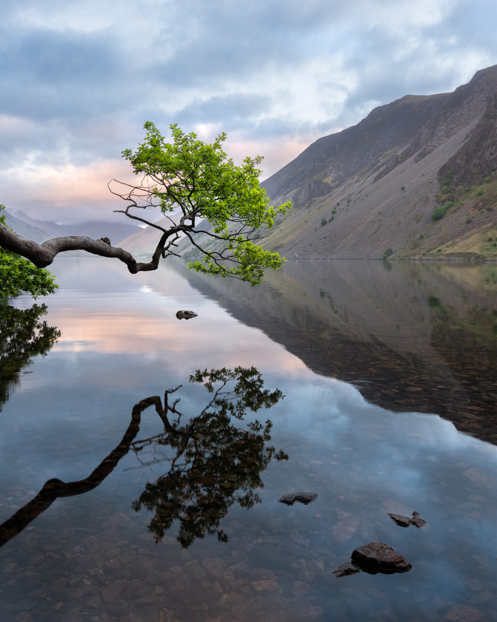Spring Greens Lake District Summer Music